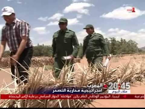 شاهد محاربة التصحر والمخطط الإستراتيجي