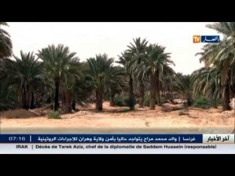 بالفيديو سكان الجنوب الجزائري يأملون في التنمية