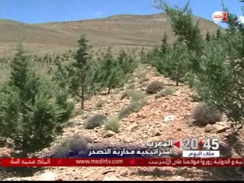 تعرف على جهود محاربة التصحر في المغرب