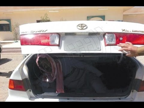 بالفيديو ابتكار طريقة جديدة لتسلل العناصر المتطرفة إلى مصر