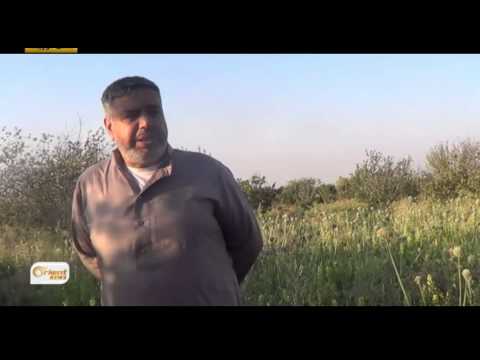 مجلس مدينة أعزاز في ريف حلب يدعم المشاريع الزراعية