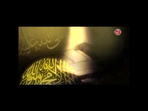 شاهد ابتهال أبا الزهراء للشيخ محمود التهامي