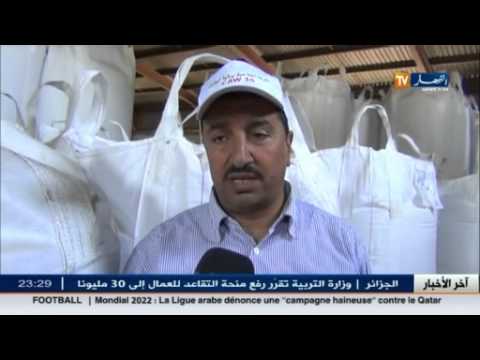 شاهد عملية الحصاد والدرس في الطارف