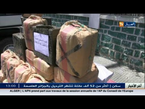 شاهد القوات الجزائرية تضبط 8 قناطير من المواد المخدرة