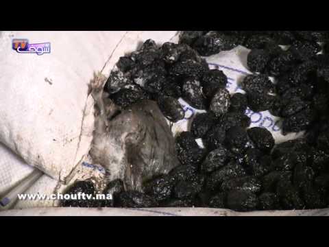 بالفيديو العثور على فأر مخزن للبرقوق