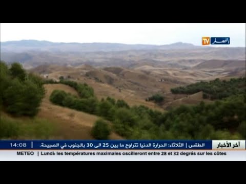 شاهد الكشافة الإسلامية تتفقد أعالي جبال الونشريس