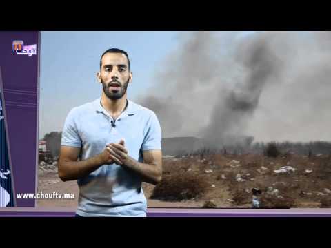 شاهد حريق مهول داخل مستودع خشب في عين حرودة