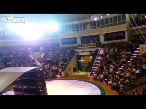 فيديو سقوط مروع للاعب سيرك