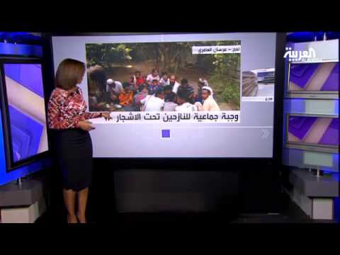 فيديو وجبة جماعية للنازحين اليمنيين تحت الأشجار