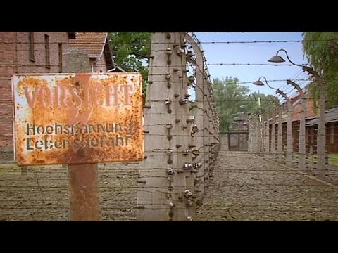 شاهد توقيف مراهقين لسرقتهما أشياء تاريخية