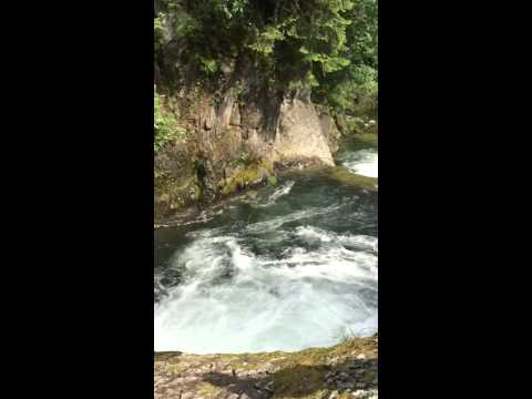 شاهد سقطة مدوية تتسبب في حادث مؤسف