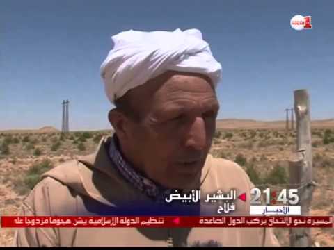 شاهد افتتاح أول مركز لإنتاج البذور الرعوية