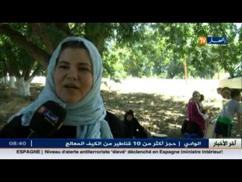 بالفيديو الديول طبق تقليدي تتعدد استعمالاته في مدينة الشلف