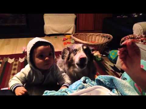 كلب ينطق كلمة ماما قبل صديقه الصغير