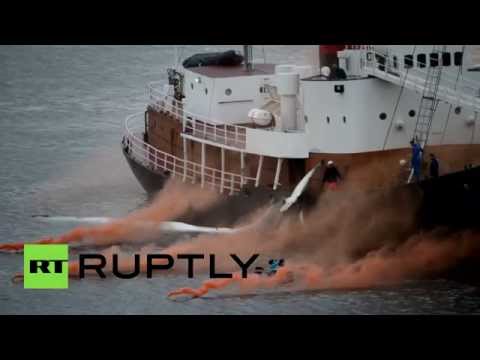 شاهد حماة البيئة في آيسلندا يحتجون على صيد الحيتان