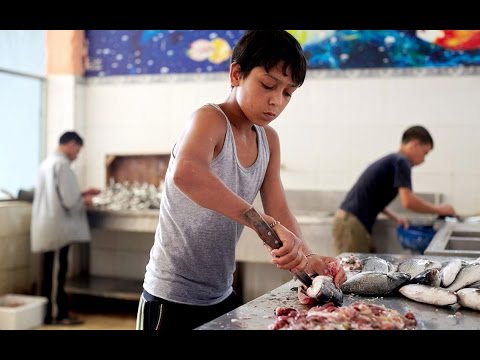 شاهد عمالة الأطفال السوريين في ازدياد مستمر