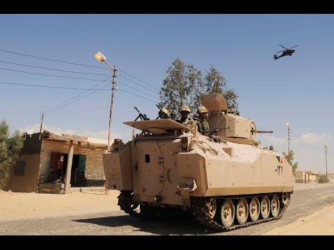 الجيش المصري يعلن سيطرته على شمال سيناء