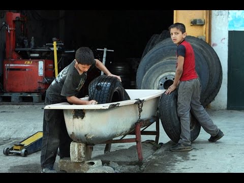 بالفيديو  الأطفال السوريين في ازدياد