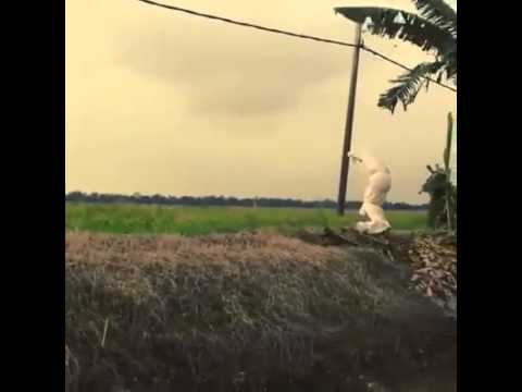 شاهد لحظة سقوط شاب مقيد في المياه