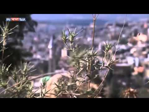 بالفيديو عائلة فلسطينية تنضم إلى تنظيم داعش المتطرف