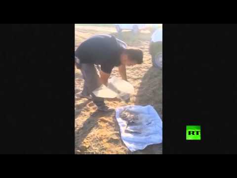 شاهد إسرائيل تؤكد إطلاق صاروخ من سيناء على النقب