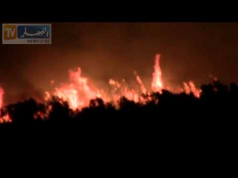 بالفيديو حريق هائل يندلع في غابة داخل عزازقة الجزائريّة