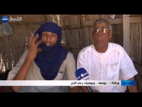 الشاب يوسف يرعى الإبل في ورقلة