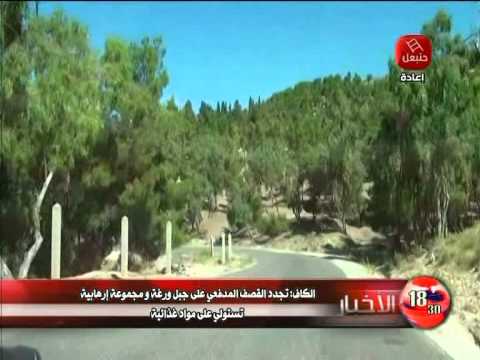 بالفيديو الجيش يقصف عددًا من المناطق المشبوهة داخل جبال الكاف التونسية