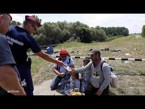 شاهد بناء سياج على الحدود المجرية الصربية