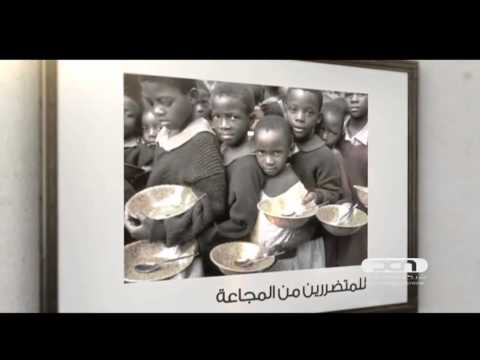 بالفيديو تعرف على إنجازات الشيخ زايد في أفريقيا