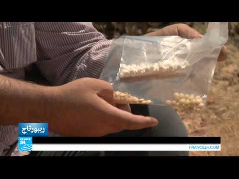 بالفيديو صناعة المواد المخدرة التي تستعمل للقتال في سورية