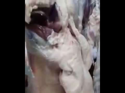 شاهد مقطع مصوّر يكشف حالات الغش في صناعة اللحوم
