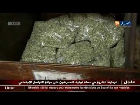 شاهد إقبال كبير على صيادلة الإعشاب الطبيعية