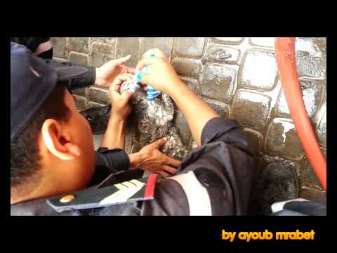 بالفيديو الوقاية المدنية المغربية تنقذ قطة من الحريق