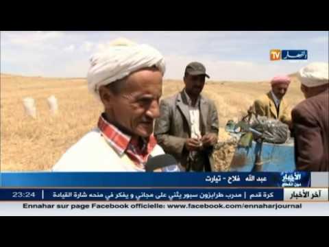 شاهد العشارة تقليد تراثي لدى الفلاحين في ولاية تيارت