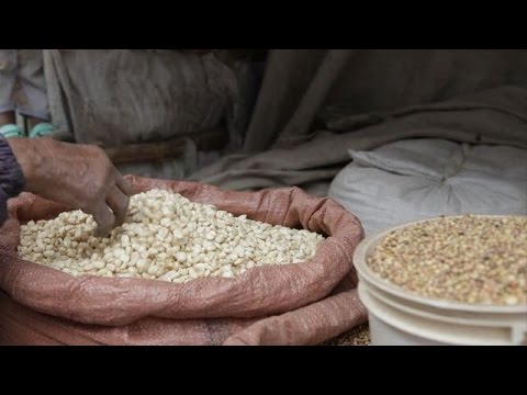 منطقة تيغراي نموذج للتحول الزراعي