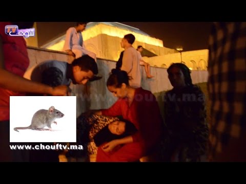 شاهد إغماءات وعدد في مسجد الحسن الثاني بسبب فأر صغير