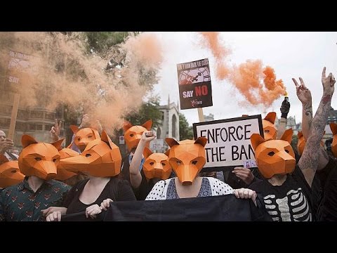 فيديو حزب اسكتلندي يستنكر مناقشة قانون بشأن الثعالب في مجلس العموم