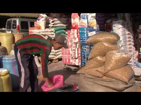 بالفيديو زكاة الفطر سنة نبوية تتوّج رمضان