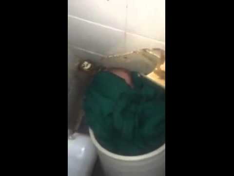 شاهد لحظة العثور على رضيع في حمام مستشفى