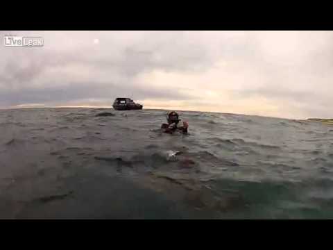 شاهد أسد البحر يهاجم غواصين بالقبلات والأحضان