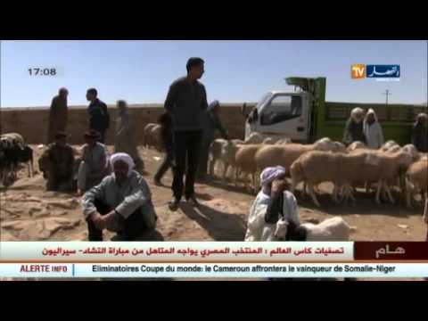 فيديو استفحال ظاهرة سرقة المواشي في الأغواط