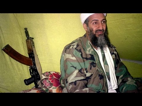 خبير استراتيجي يؤكد أن القاعدة فقد قوته