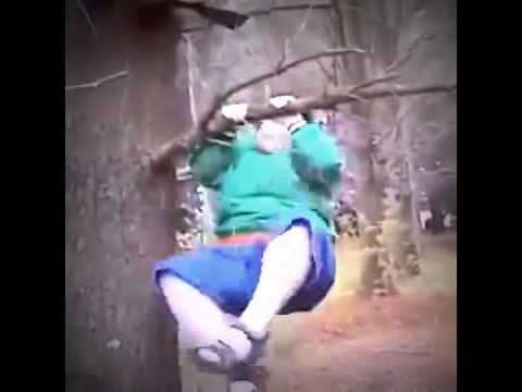 بالفيديو ماذا حدث لمراهق بدين حاول تسلق شجرة