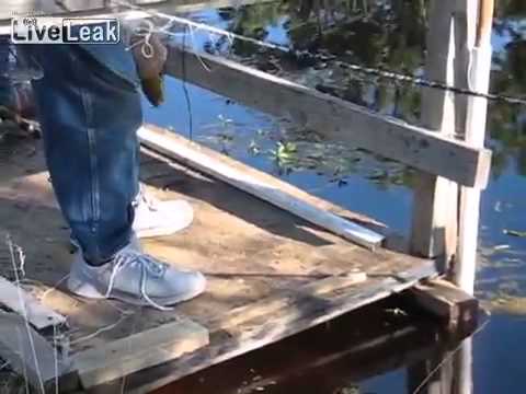 بالفيديو رجل عجوز يطعم ثعبانًا ضخمًا بواسطة يديه