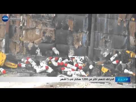 شاهد الحرائق تلتهم أكثر من 1200 هكتار من الغابات الجزائرية في 5 أشهر