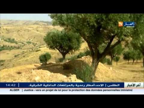 بالفيديو أراضي فلاحية تتعرض للتلف نتيجة للتوسع العشوائي