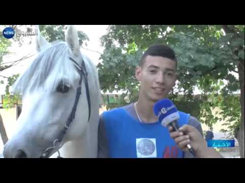 شاهد تأهل فارسين من ولاية تيارت إلى مونديال القدرة والتحمل