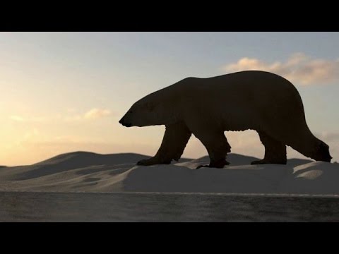 تعرف على الفصائل المهددة بالانقراض في الطبيعة