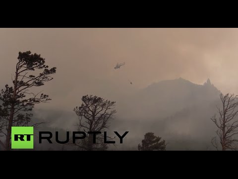 شاهد  150 حريقًا تلتهم غابات سيبيريا والشرق الأقصى